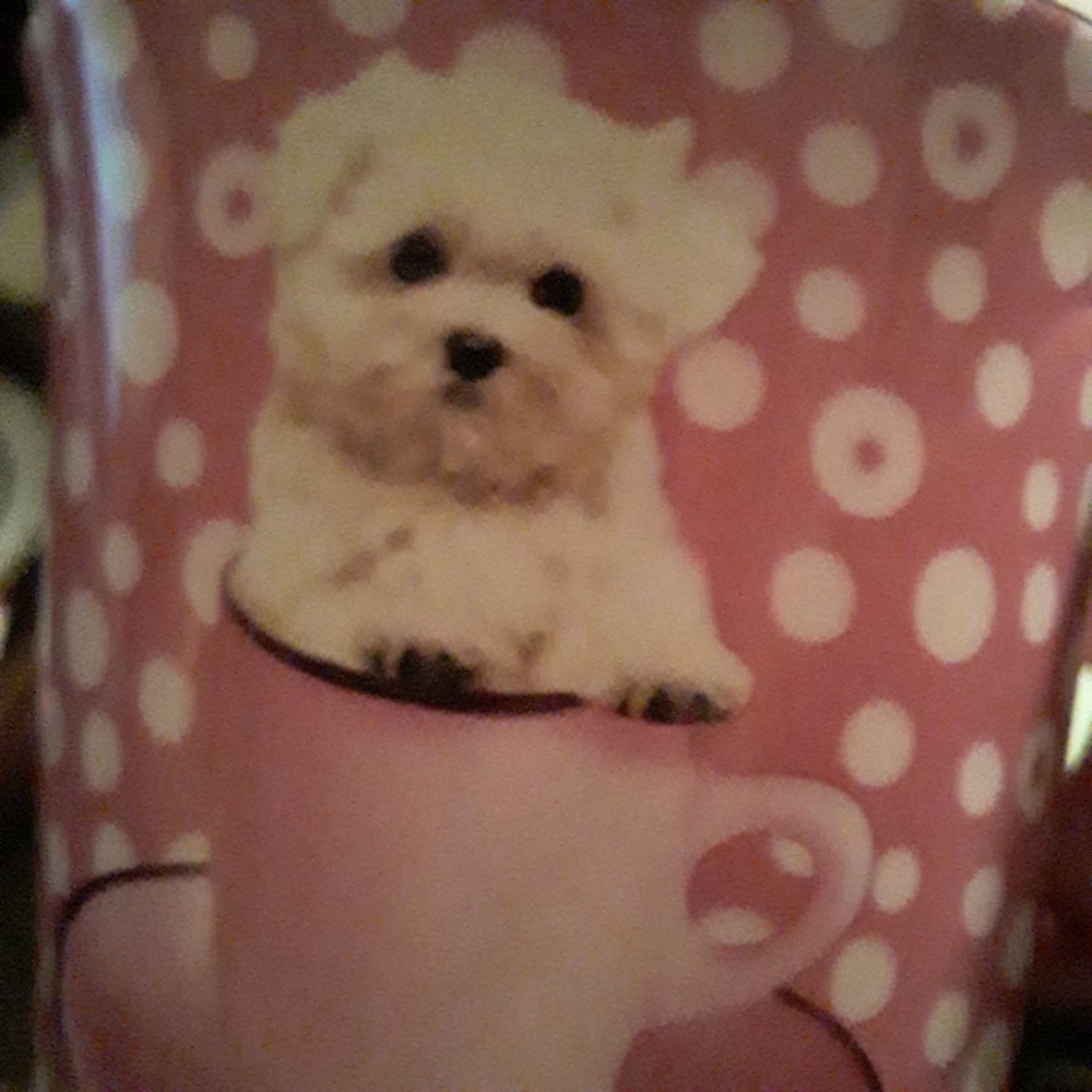 Maltose White puppy in teacup Coffee Mug